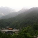 (주)태산관광