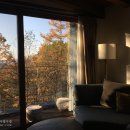 리솜 포레스트 제천의 독채 빌라 후기 2. 조식 뷔페 & 제천 쇼핑 리스트