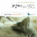 책고양이 이미지