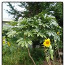 한산파출소 이미지