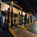 와이디짐 이미지