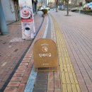 [후기] 구파발 릿베이글 : 쌀로 만든 베이글이 있는 구파발 카페
