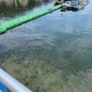 해변 낚시마트 | 1,500원 두문진 유람선 요금 백령도해변 놀래미낚시 학꽁치낚시 게잡이 홍합 고둥 채집 꽃게찜 백령도...