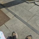 낙상 | 휠체어안전벨트X형 사용 후기 낙상방지벨트로 어르신 외출 안전하게