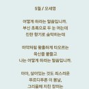 넌센스 이미지
