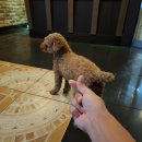 다이아 노래연습장 이미지