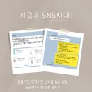 인셀덤제품구매_인셀덤체험후기_인셀덤내돈내산후기_인셀덤저렴하게사기