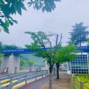 우산소류지 네이버블로그