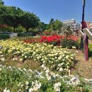 창조 행정사 사무소 이미지