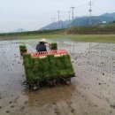 온산정형외과의원 네이버블로그