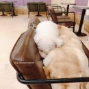 위너스노래방 이미지