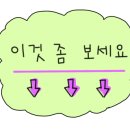 르 플리스(Le Plus)