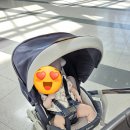 2024 하반기 부산베이비페어&amp;유아교육전 부베유 방문 솔직후기!