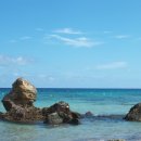 다시가고싶은 이미지