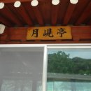 월전경로당 Daum카페