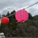 평창군건강생활지원센터 | [평창 여행] 평창 가볼만한 곳 &#39;월정사&#39; _ 전나무숲길에 반하다♥