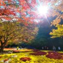 강천산종합관광안내소 이미지