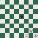 체크메이트 룩 이미지