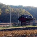 효자한림의원 이미지