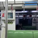 6754 | 중국 상하이(푸동)에서 하이난(싼야) 여행, CZ6754 중국남방항공 탑승, 기내식 찐 솔직후기ㅡㅡ