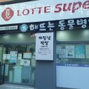 해뜨는동물병원해질녘책방 이미지