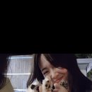 오하브글램핑 티스토리