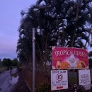 보경쉼터 | 2주차 호주 워홀