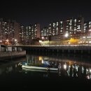 바다회센티