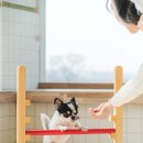 털로덮인친구들(동탄호수공원점) 이미지