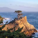 하프문베이 이미지