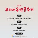 7월15일(토요일) 부여 궁남지 연꽃축제, 부소산성 낙화암, 백마강 유람선 이미지