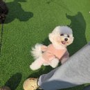 멍데이유치원
