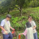 힐링스테이 | 한가위 특별 힐링 템플스테이 출강후기