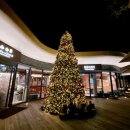 휴하루 | 수락휴 수락산동막골자연휴양림 서울 노원휴양림 뚜벅이여행 수락휴4호 소풍같은하루 6인실 후기