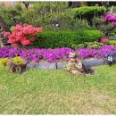 하나펜션민박 이미지