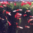 천지컴퓨터세탁 | 2025년 11월