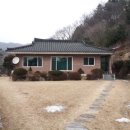 여주-0272 Daum카페
