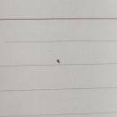 루나의원 이미지