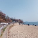 동막해변 네이버블로그