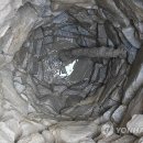 토성농장 이미지