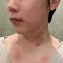 늘푸른연세의원 이미지