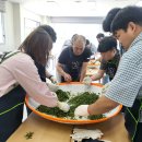 유기농마을 이미지