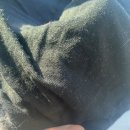 세탁에반하다 이미지