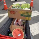 더자연펜션 이미지