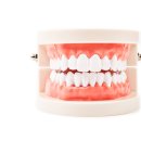 B&B치과의원 이미지