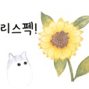 패션의상(초급) 이미지