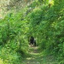 주천현대마트 이미지