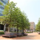 김대환농장 이미지