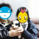 참 조은 훈이네 강아지 이미지