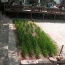 대학어린이집 이미지